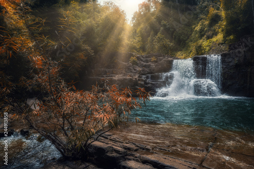 waterfall in forest © Valeriy Ryasnyanskiy