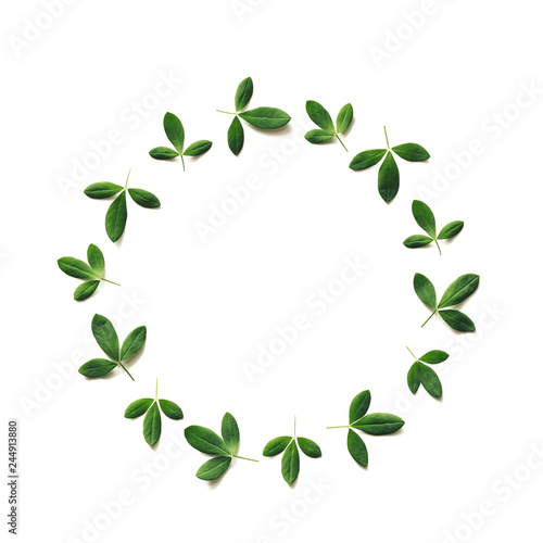 Green Leaves In The Shape Of A Circle On White Background