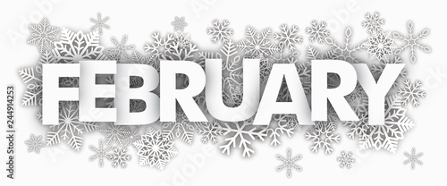 February Snowflakes