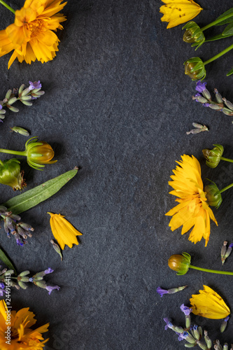 Wild Flowers composition. Frame made of various colourful flowers on  dark background. Flat lay, top view, copy space, vertical composition