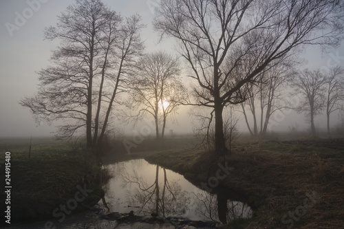 Trees and a small stream in Bavaria in the mist with the sun in the background