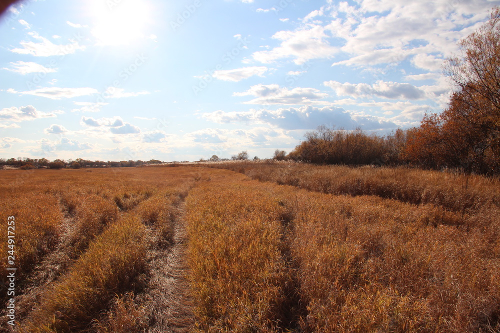 sky sunset autumn clouds