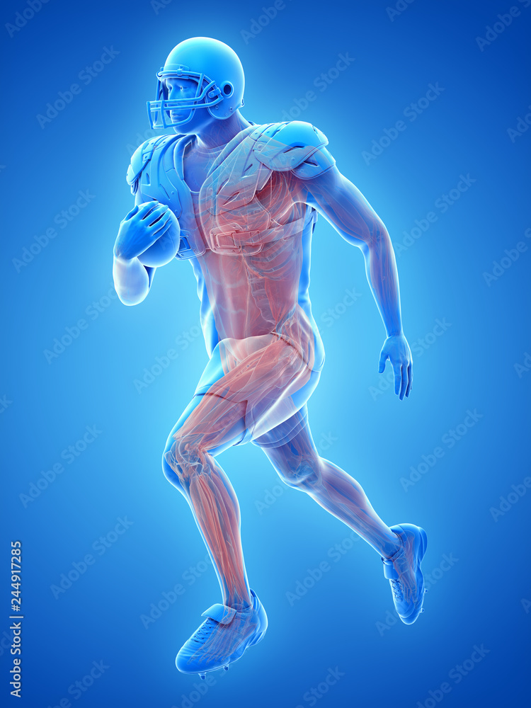 3d rendered medically accurate illustration of the muscle system of an american football player