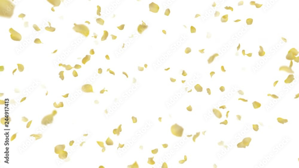 Rose petals Yellow fluttering Rose petals Yellow fluttering
