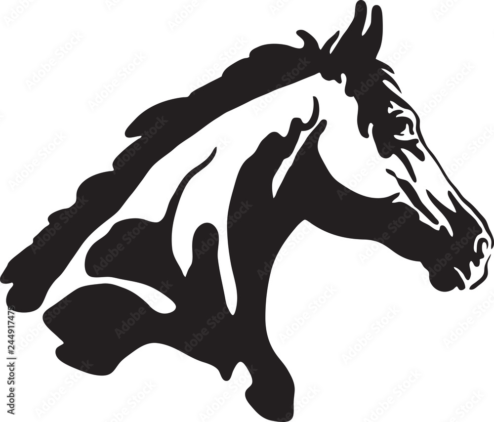 Vector silhouette of a horse’s head - Vector Stock Vector | Adobe Stock
