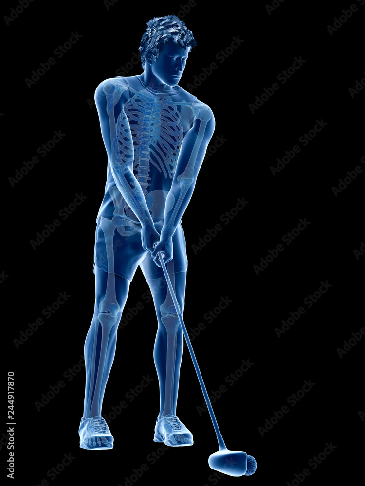 3d rendered medically accurate illustration of the skeleton of a golf player 3d rendered medically accurate illustration of the skeleton of a golf player