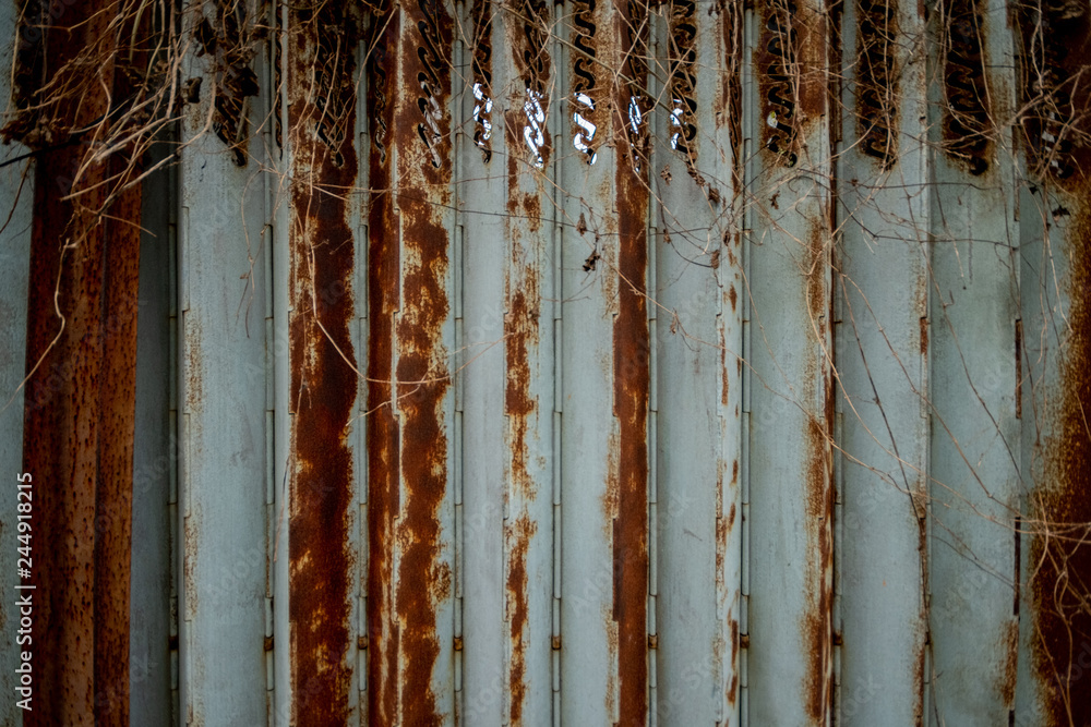 Deserted zinc rust gray door dry branches on top Deserted zinc rust gray door dry branches on top