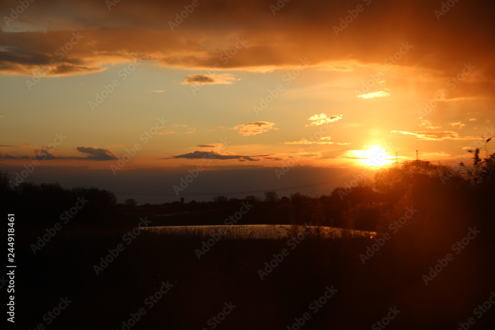 Obraz premium beautiful sunset, no processing, wildlife, reed, sky, sun
