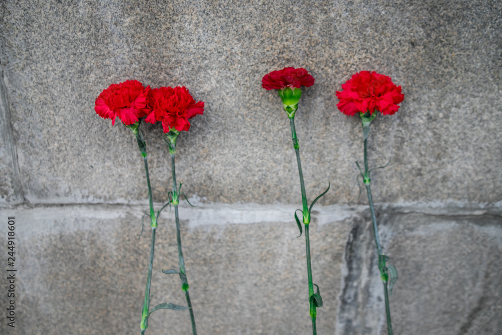 laying flowers on the day of memory or tragedy in winter laying flowers on the day of memory or tragedy in winter