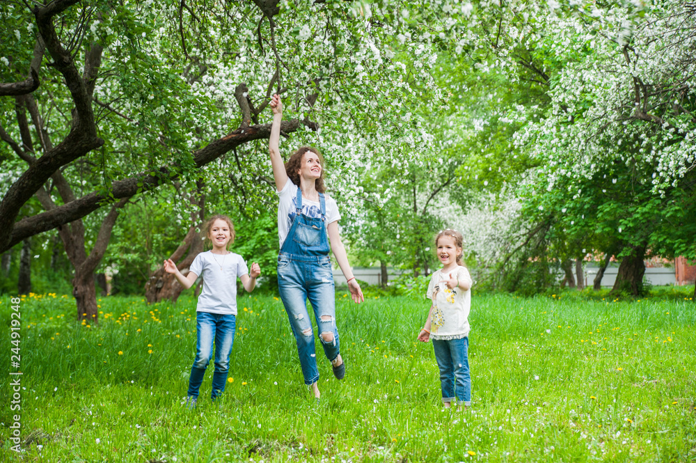 Fototapeta premium Family walks in blooming apple orchard in spring