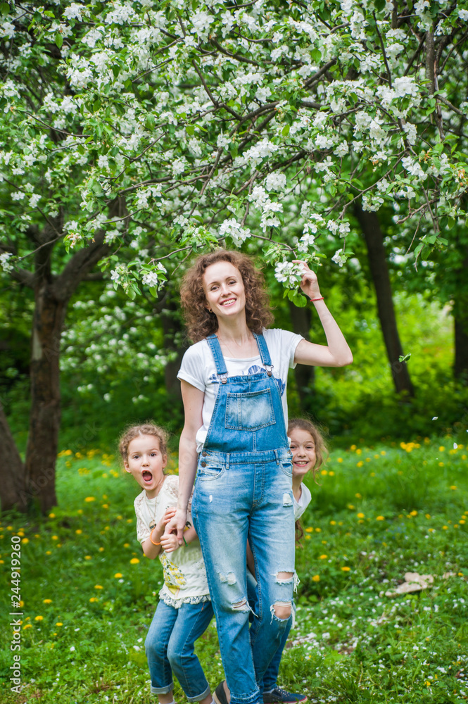 Family walks in blooming apple orchard in spring Family walks in blooming apple orchard in spring