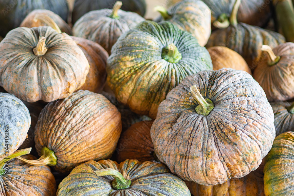 Close up Of Pumpkins yellow and green skin for sale at local market. Close up Of Pumpkins yellow and green skin for sale at local market.