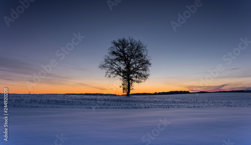 Sonnenaufgang Winter Baum © Felix