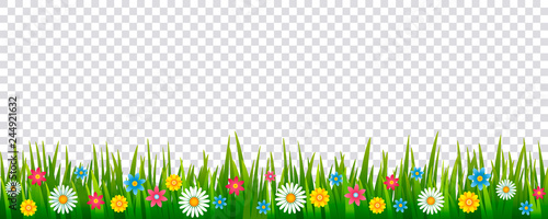 Fototapeta Jasny realistyczny wzór zielonej trawy i wiosennych kwiatów do dekoracji kartek wielkanocnych, baner. wektor ikona na białym tle