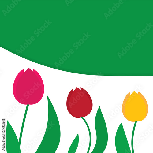 tuips flower background- vector illustration