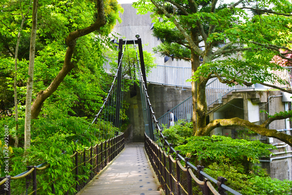 Naklejka premium 橋