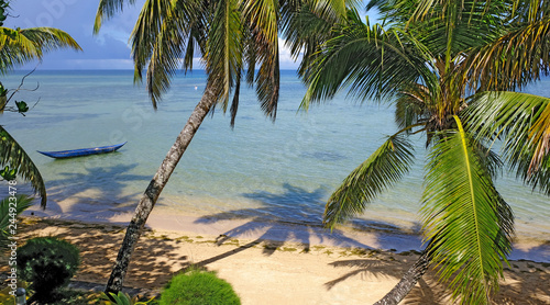 Palm trees and Pirogue, Sainte Marie Island, Madagascar