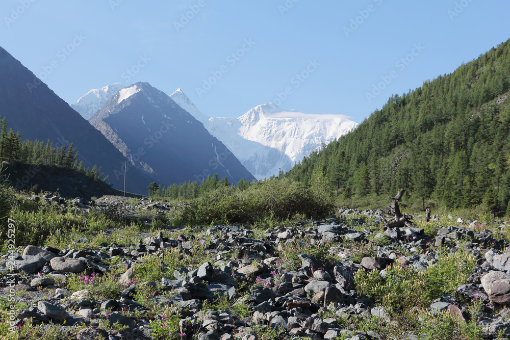 View of Mt Belukha Katunsky Ridge, Altai Mountains, Russia