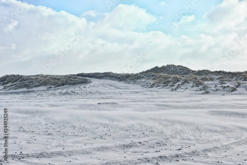 Stormy dunes