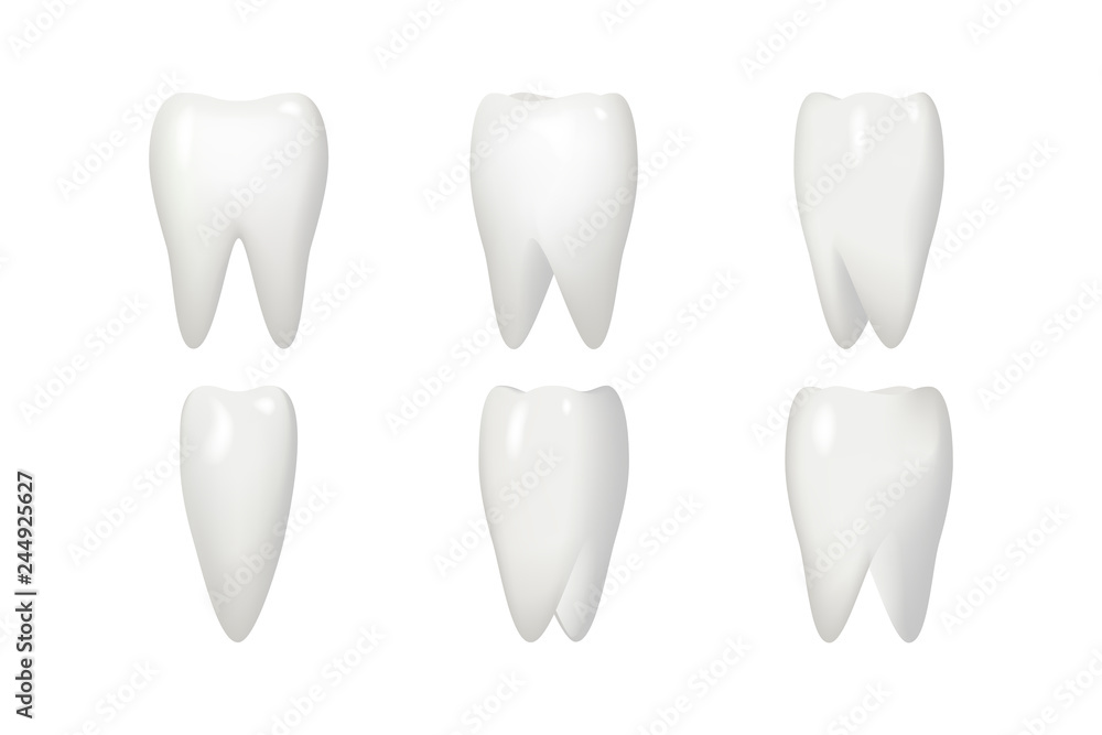 Isolated on white rotation tooth root animation frames realistic 3d stomatology dental teeth care icons set design vector illustration Isolated on white rotation tooth root animation frames realistic 3d stomatology dental teeth care icons set design vector illustration