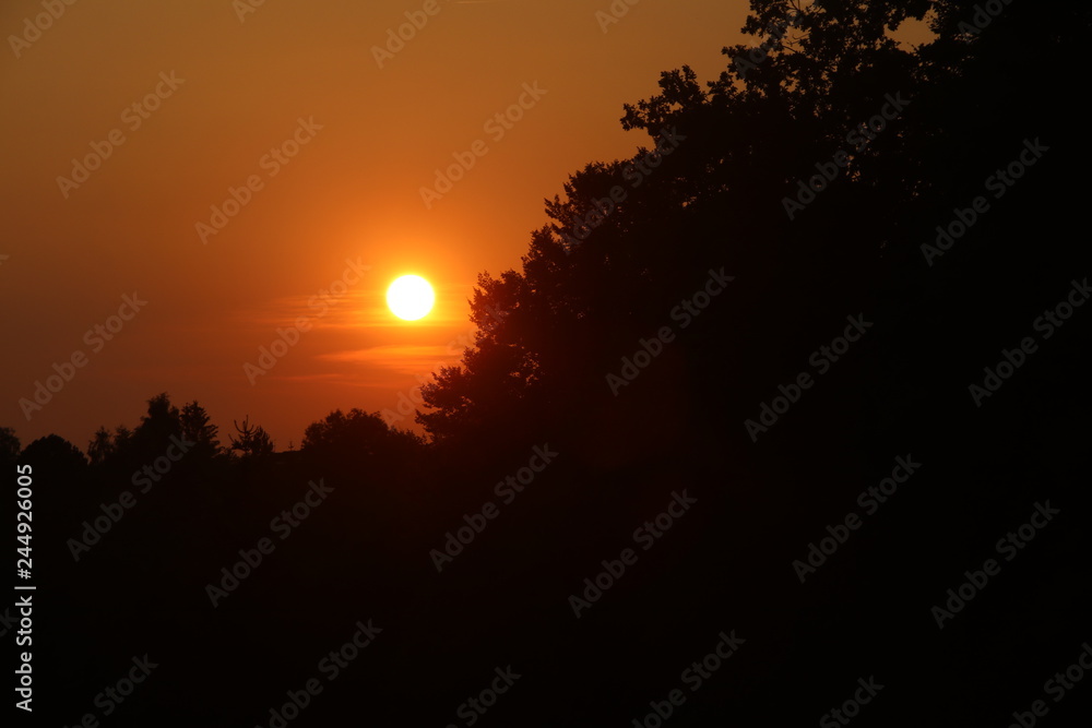 Natur Natur