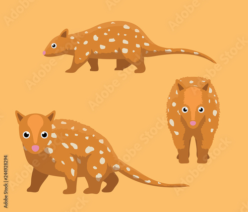 Australian Animal Tiger Quoll Cartoon Vector Illustration