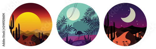 Tropical, sand dunes, desert landscape, night, sunset, silhouette of flamingos and camels and cacti. Vector flat logo