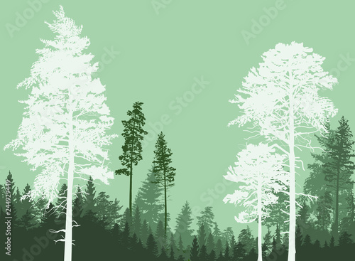 pine trees group isolated on green