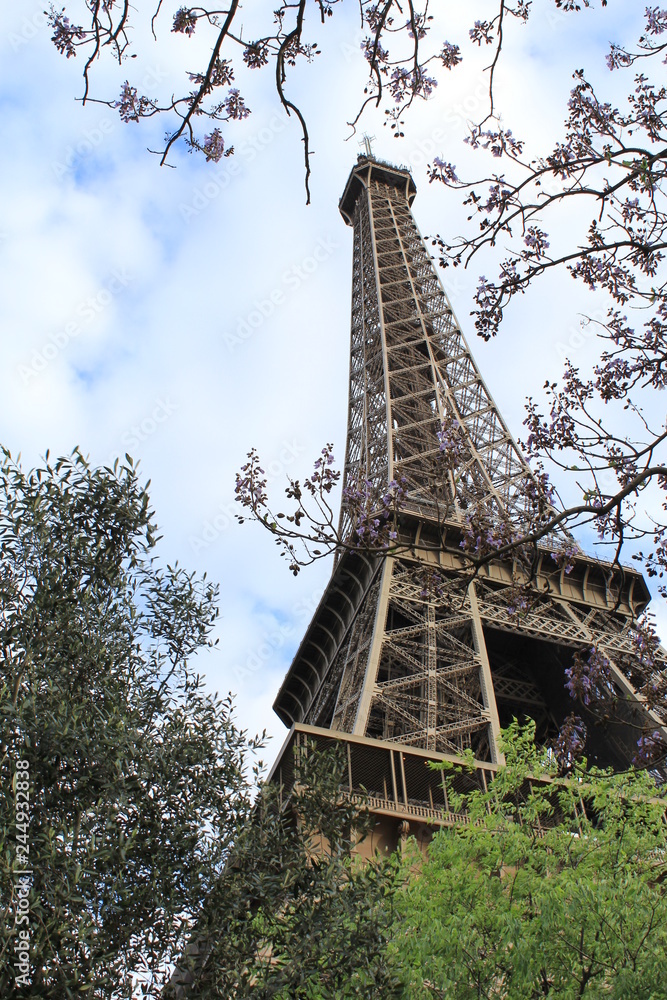 Spring in Paris: The Eiffel tower in green bushes and flower branches