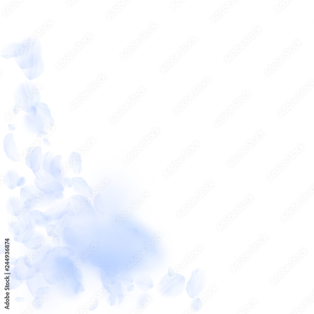 Light blue flower petals falling down. Unequaled r Light blue flower petals falling down. Unequaled r