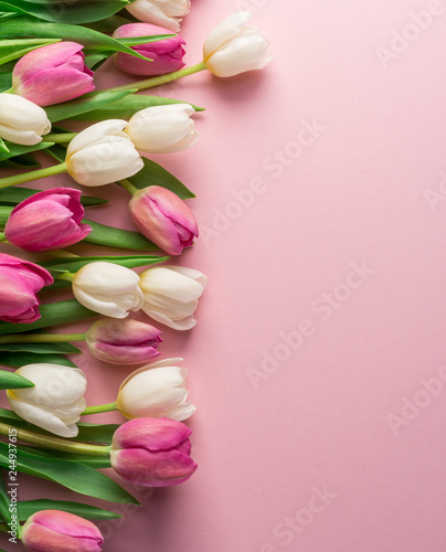 Fototapeta Naklejka Na Ścianę i Meble -  White and pink tulips on lightpink background.