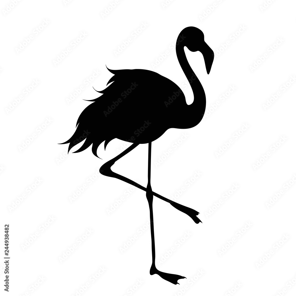 Fototapeta premium Vector silhouette of flamingo on white background.