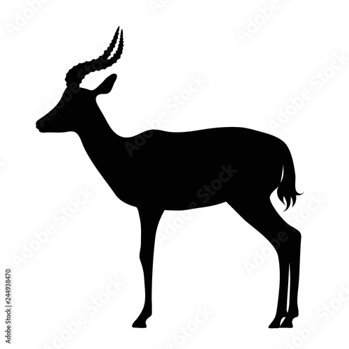 Vector silhouette of antelope on white background.