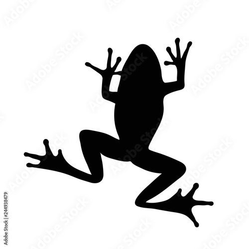 Vector silhouette of frog on white background.