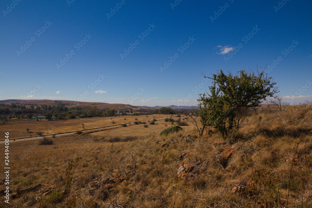 View over the country in South Africa with a clear blue sky View over the country in South Africa with a clear blue sky