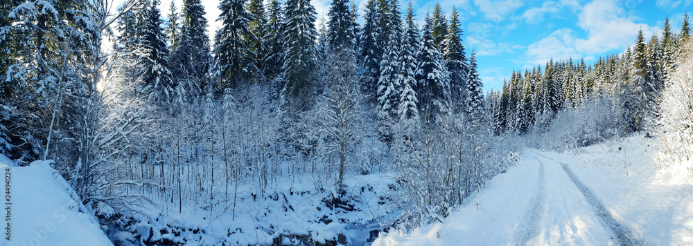Beautiful winter landscape. Road between snowy firs at the foothills. Panorama.