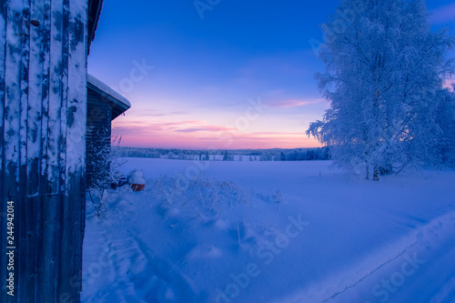 Winter landscape from Finland. © ville