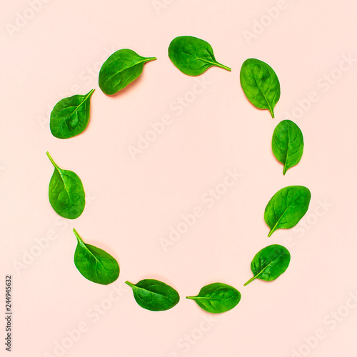 Fresh green spinach leaves in the shape of circle on pink background Flat lay top view copy space. Creative food concept. Ingredient for salad. Vegetable design. Healthy lifestyle.