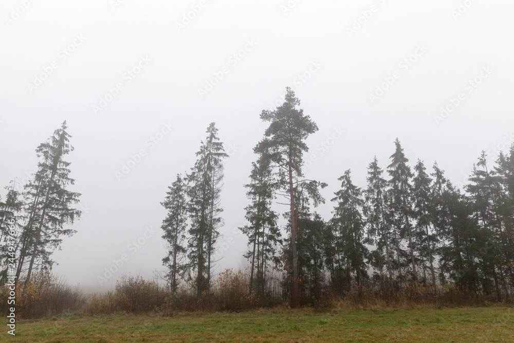 fog autumn landscape fog autumn landscape