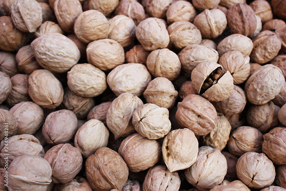 A lot of walnuts in a pile. Hard brown shell. A lot of walnuts in a pile. Hard brown shell.