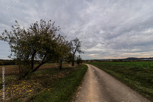 Landschaft an grauen Tag