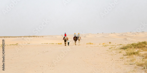 Three camels and four people in the desert Sahara, Tunisia
