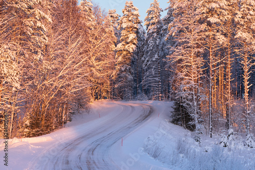 Snowy road winding through winter forest © ekim