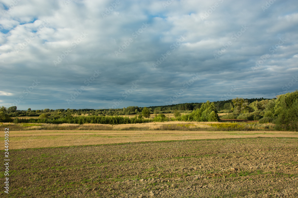 Plowed field and wild meadows, forest and dark rainy clouds