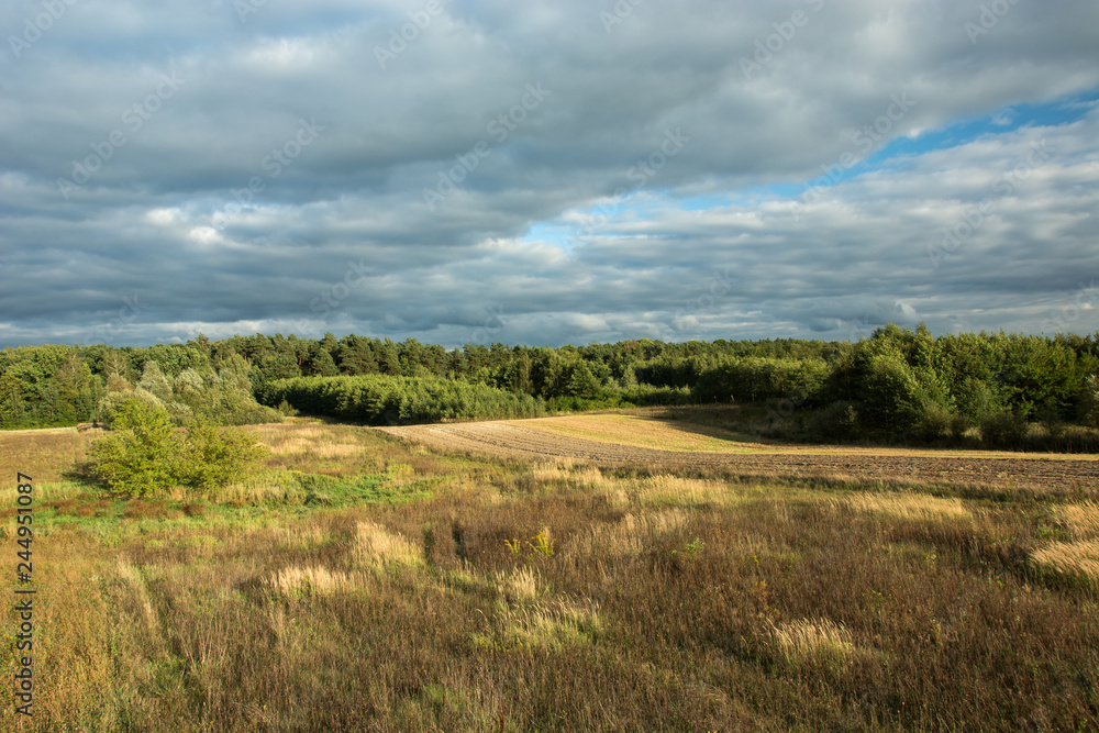 Wild meadow, green forest and dark rainy clouds Wild meadow, green forest and dark rainy clouds
