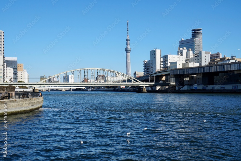 隅田川