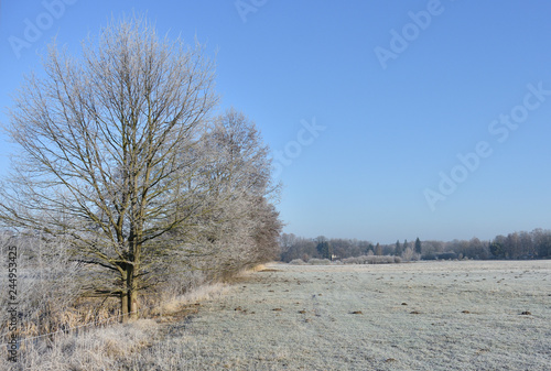 frozen landscape at the edge of the field
