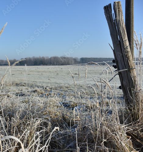 Wallpaper Mural frozen landscape at the edge of the field Torontodigital.ca