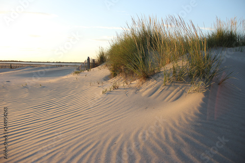 beautiful beach dunes at sunset at the Mediterranean sea in Camargue in south of France