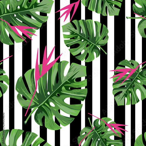 Exotic jungle plant tropical palm leaves with pink flowers and black stripes. Vector background.